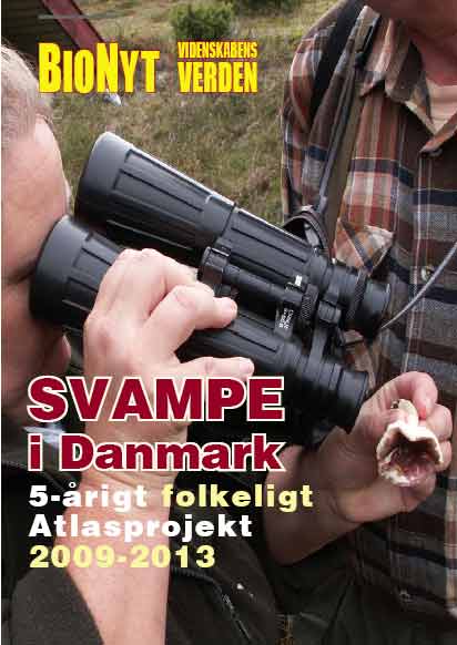 BioNyt nr.144: Kortlægning af svampe i Danmark.